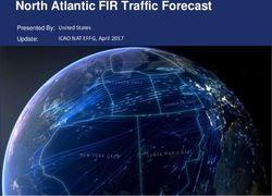 North Atlantic FIR Traffic Forecast - United States ICAO NAT EFFG, April 2017 Presented By