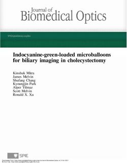 Indocyanine-green-loaded microballoons for biliary imaging in cholecystectomy