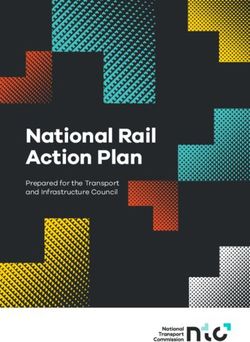 National Rail Action Plan - Prepared for the Transport and Infrastructure Council - National Transport Commission