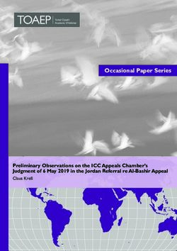 Preliminary Observations on the ICC Appeals Chamber's Judgment of 6 May 2019 in the Jordan Referral re Al-Bashir Appeal - Claus Kre&szlig;