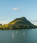 Māui Rau From signal to action - June 2017 kpmg.com/nz - assets.kpmg