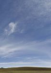 Māui Rau From signal to action - June 2017 kpmg.com/nz - assets.kpmg