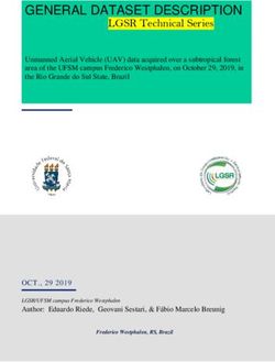 GENERAL DATASET DESCRIPTION - LGSR Technical Series - UFSM