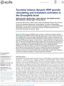 Tyramine induces dynamic RNP granule remodeling and translation activation in the Drosophila brain