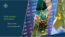 Debt Investor Information - Status: FY 2020 As of 25 February 2021 - Bayer