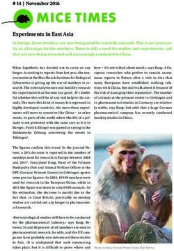 MICE TIMES - Basel Declaration