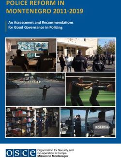 POLICE REFORM IN MONTENEGRO 2011-2019 - An Assessment and Recommendations for Good Governance in Policing - OSCE