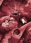 National Space Programmes 2012 2013