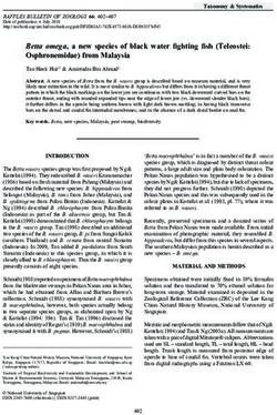 Betta omega, a new species of black water fighting fish (Teleostei: Osphronemidae) from Malaysia