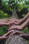 THE SUSTAINABILITY IMPERATIVE - KEYS - A WEBINAR SERIES BY IPSOS 28th April 2022
