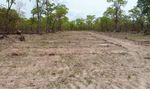 Unearned credit - Why aviation industry forest offsets are doomed to fail - Fern