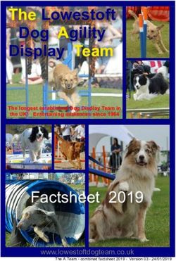 The Lowestoft Dog Agility Display Team - Factsheet 2019 www.lowestoftdogteam.co.uk - Lowestoft Dog Display Team