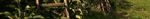 2020 Cornell Pest Management Guidelines for Commercial Tree Fruit Production