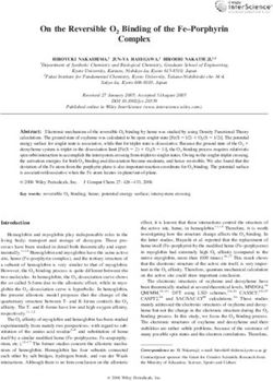 On the Reversible O2 Binding of the Fe-Porphyrin Complex