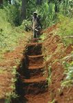 WFP Policy on Disaster Risk Reduction and Management - Building Food Security and Resilience