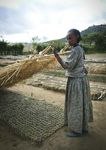 WFP Policy on Disaster Risk Reduction and Management - Building Food Security and Resilience