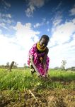 WFP Policy on Disaster Risk Reduction and Management - Building Food Security and Resilience