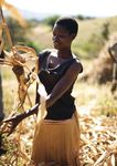 WFP Policy on Disaster Risk Reduction and Management - Building Food Security and Resilience