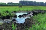 PEATLANDS IN THE EU COMMON AGRICULTURE POLICY (CAP) AFTER 2020 - International Mire ...