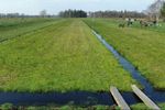 PEATLANDS IN THE EU COMMON AGRICULTURE POLICY (CAP) AFTER 2020 - International Mire ...