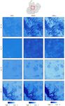 Fishpond Mapping by Spectral and Spatial-Based Filtering on Google Earth Engine: A Case Study in Singra Upazila of Bangladesh - MDPI