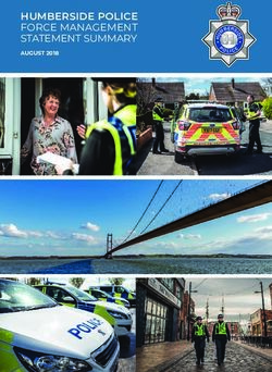 HUMBERSIDE POLICE FORCE MANAGEMENT STATEMENT SUMMARY - AUGUST 2018