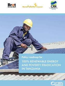 100% RENEWABLE ENERGY AND POVERTY ERADICATION IN TANZANIA - Policy roadmap for