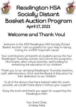 Readington HSA Socially Distant Basket Auction Program