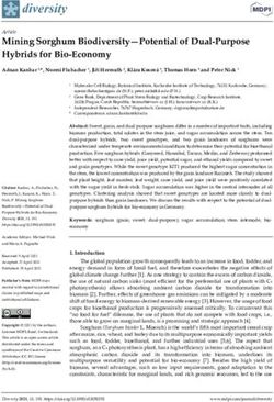 Mining Sorghum Biodiversity-Potential of Dual-Purpose Hybrids for Bio-Economy - Botanischen Institut KIT