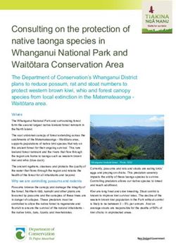 Consulting on the protection of native taonga species in Whanganui National Park and Waitōtara Conservation Area - EcoFX
