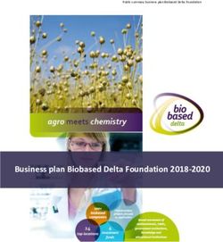 Business plan Biobased Delta Foundation 2018-2020