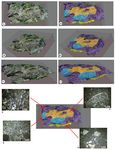 The Jurassic Gorgo a Cerbara palaeoescarpment (Monte Nerone, Umbria-Marche Apennine): modelling three-dimensional sedimentary geometries - Journal ...