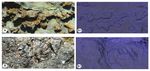 The Jurassic Gorgo a Cerbara palaeoescarpment (Monte Nerone, Umbria-Marche Apennine): modelling three-dimensional sedimentary geometries - Journal ...