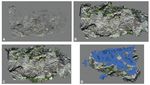The Jurassic Gorgo a Cerbara palaeoescarpment (Monte Nerone, Umbria-Marche Apennine): modelling three-dimensional sedimentary geometries - Journal ...