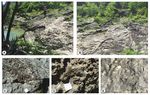 The Jurassic Gorgo a Cerbara palaeoescarpment (Monte Nerone, Umbria-Marche Apennine): modelling three-dimensional sedimentary geometries - Journal ...