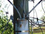 Insect/Bird/Animal Deterrence in the Utility Environment - South Carolina Electric and Gas