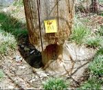 Insect/Bird/Animal Deterrence in the Utility Environment - South Carolina Electric and Gas