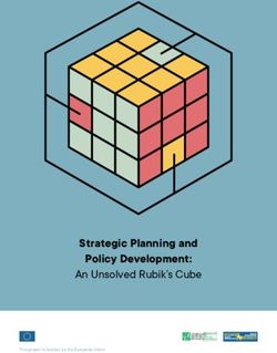 Strategic Planning and Policy Development: An Unsolved Rubik's Cube