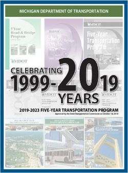 2019-2023 FIVE-YEAR TRANSPORTATION PROGRAM - MICHIGAN DEPARTMENT OF TRANSPORTATION - State of Michigan