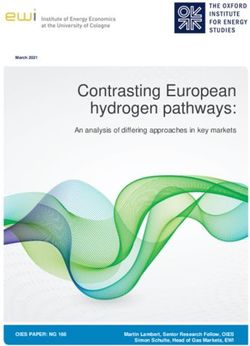 Contrasting European hydrogen pathways: An analysis of differing approaches in key markets - Oxford Institute for ...