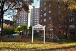NYC Housing Authority Resident COVID Response (RCR) Project - Focus Group Analysis and Summary - RADx-UP