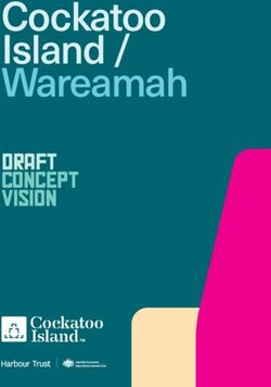 Cockatoo Island / Wareamah - DRAFT Concept Vision - Harbour Trust