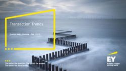 Transaction Trends Danish M&A Update - Q4 2020 - EY