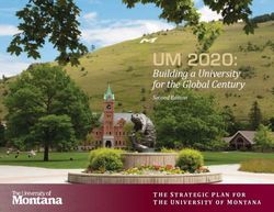 UM 2020: BUILDING A UNIVERSITY FOR THE GLOBAL CENTURY SECOND EDITION - THE STRATEGIC PLAN FOR THE UNIVERSITY OF MONTANA