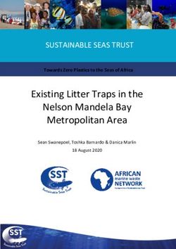 Existing Litter Traps in the Nelson Mandela Bay Metropolitan Area - SUSTAINABLE SEAS TRUST
