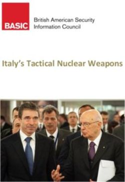 Italy's Tactical Nuclear Weapons