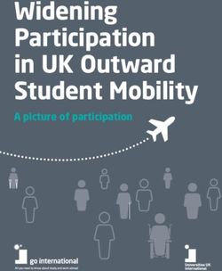 Widening Participation in UK Outward Student Mobility - A picture of participation