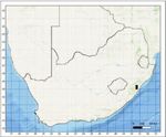 Cotyledon nielsii (Crassulaceae), a new cremnophyte from KwaZulu-Natal, South Africa