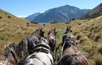 High Country Stations - Of Inland Canterbury 23-30 November 2020 - Tranzit Tours