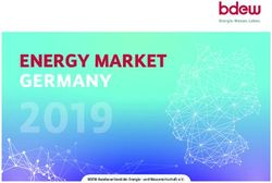 ENERGY MARKET GERMANY - BDEW